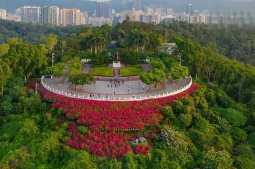 Classic Shenzhen: Modern Wonders & Cultural Heritage Tour photo 3