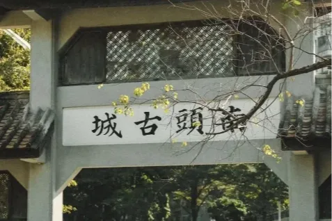 Classic Shenzhen: Modern Wonders & Cultural Heritage Tour photo 4