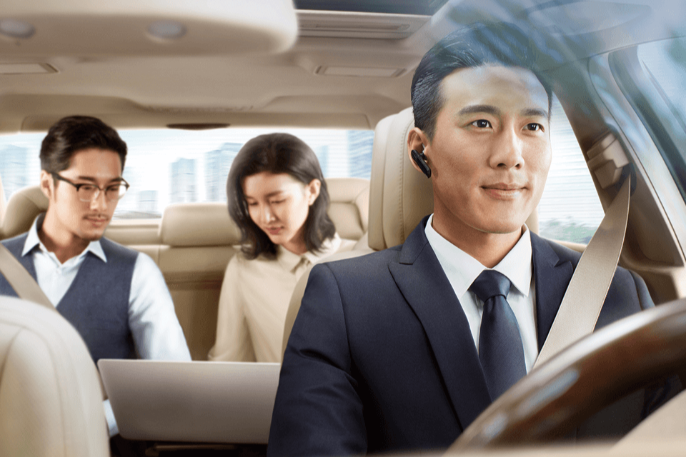Driving Buddy: Private Driver & City-to-City Transfers photo 1