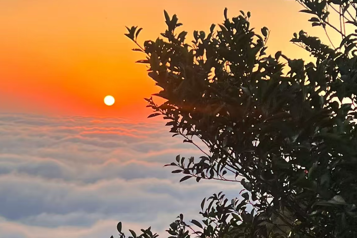 Shenzhen Sunrise & Sunset Buddy: Wutong Peak Dawn Hike, Coastal Chasing & Photography photo 1